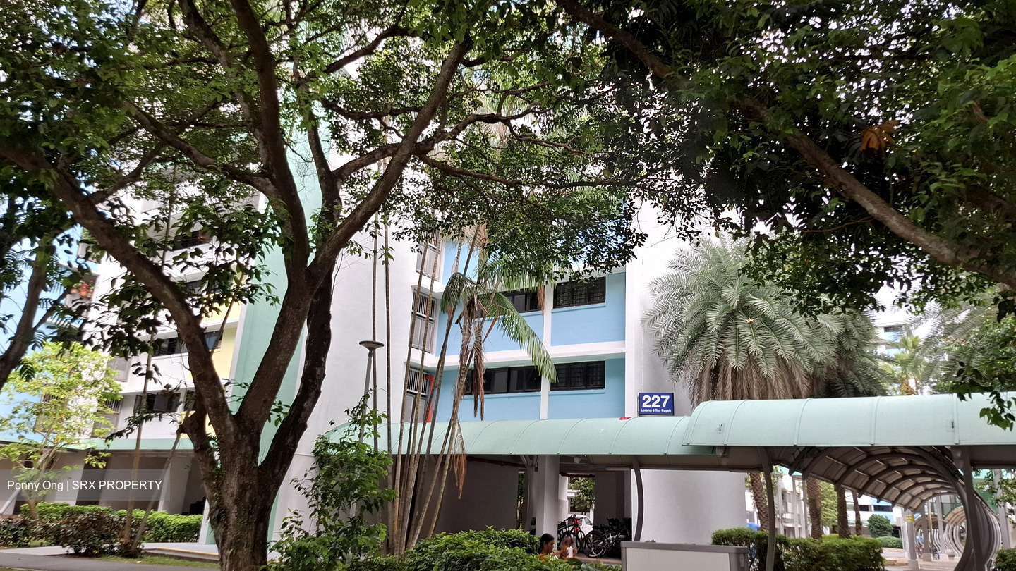 Blk 227 Toa Payoh Eight (Toa Payoh), HDB 4 Rooms #542011051